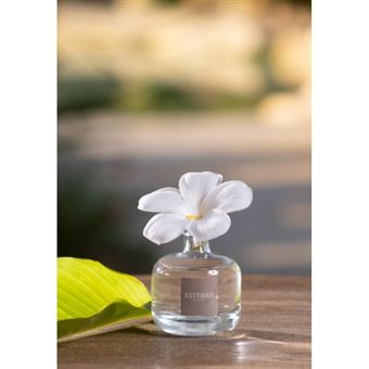 Fleur à parfum et sa recharge Esteban Pomelo Basilic 75 ml