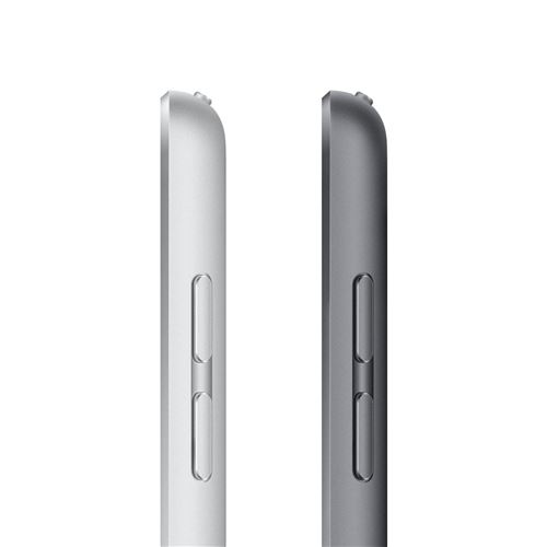 Apple iPad 9e gen - tablette 10.2 - 256 Go - 4G - gris Pas Cher | Bureau  Vallée