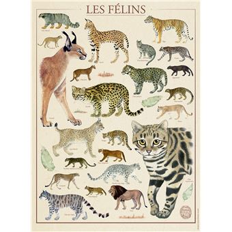 Puzzle 500 pièces Nathan Les félins Muséum national d'Histoire naturelle