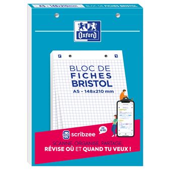 Fiches Bristol Colorées - Lot De 4 Couleurs - Format Quadrillé/ligné - Pour études, Révisions, Organisation