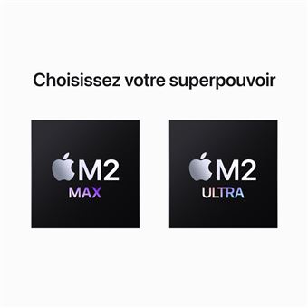 Apple Mac Studio 1 To SSD 64 Go RAM Puce M2 Ultra CPU 24 coeurs GPU 60 coeurs