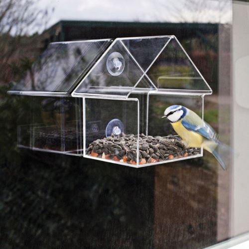 Acheter Mangeoire pour oiseaux fenêtre perroquet distributeur de