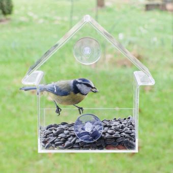 Mangeoire à oiseaux de fenêtre : observez les oiseaux sauvages de près,  plateau de graines amovible, excellent cadeau de vacances : :  Terrasse et Jardin