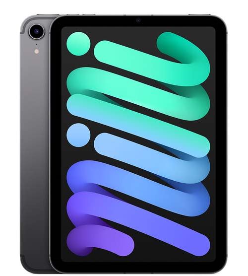 Apple iPad Mini 8,3" 256 Go Gris sidéral 5G 6 ème génération 2021