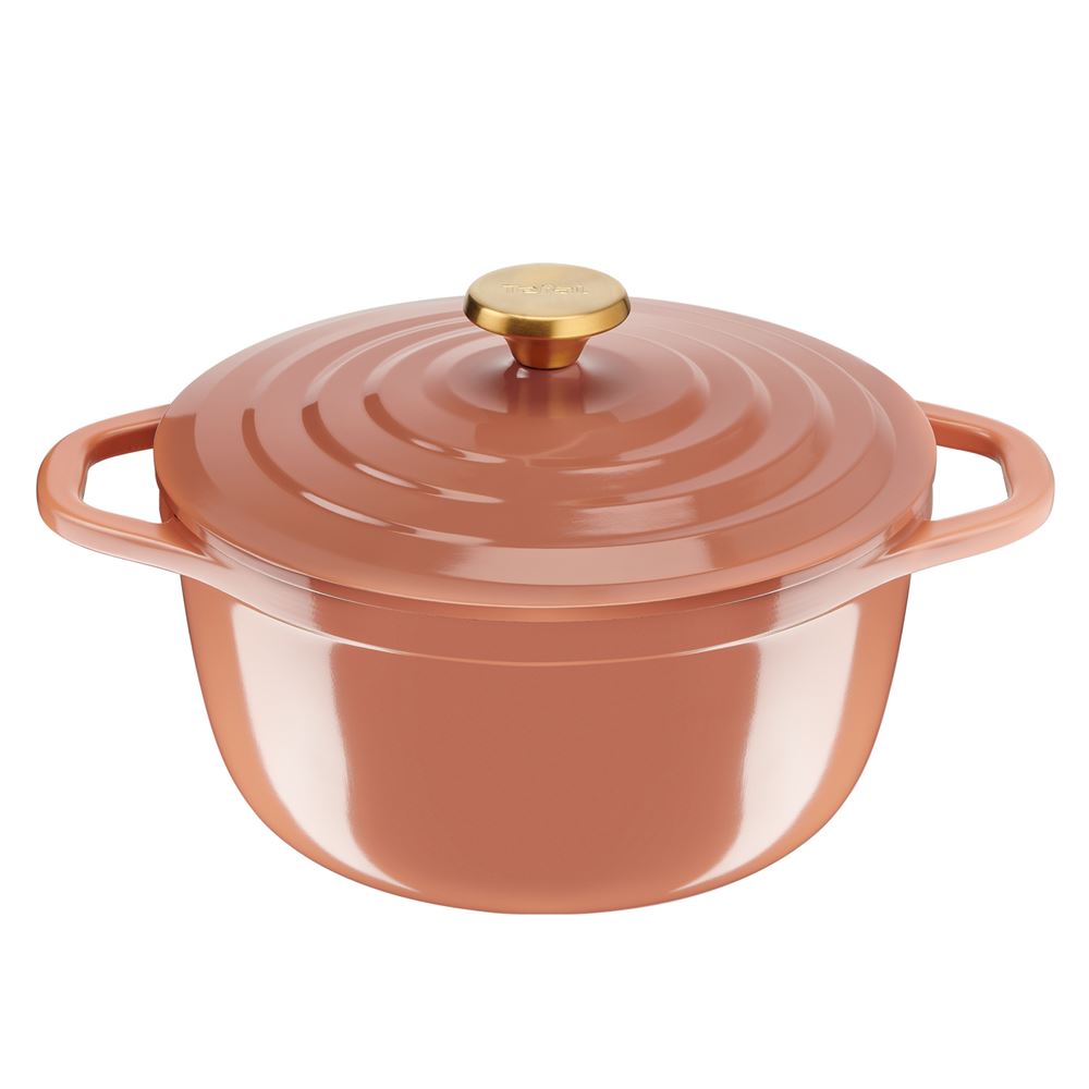 Cocotte En Fonte Tefal Avis