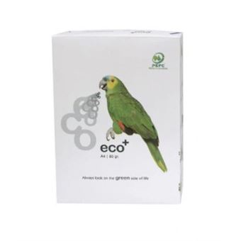 PAPIER A4 80GR/M2 500FEUILLES IBERPAPEL ECO+