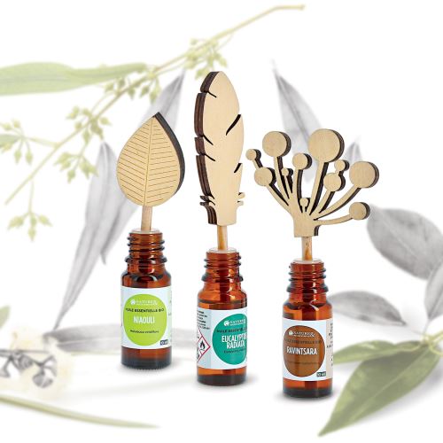 Trousse au cœur de l'hiver