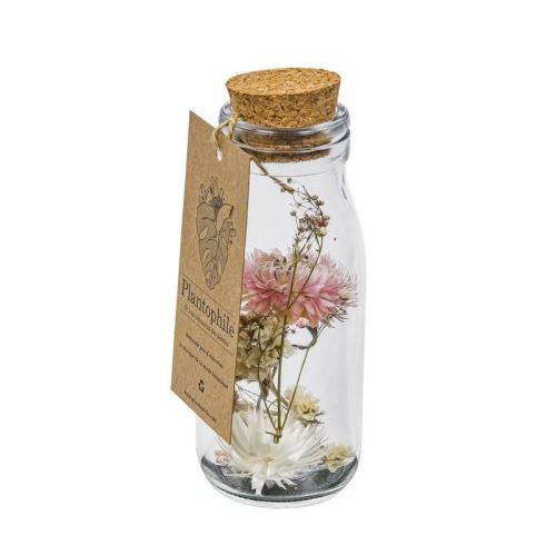 Fleurs séchées en bouteille Plantophile Dried flower collection M
