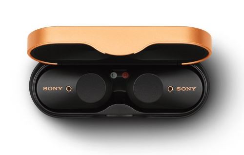 Ecouteurs sans fil Sony True Wireless 