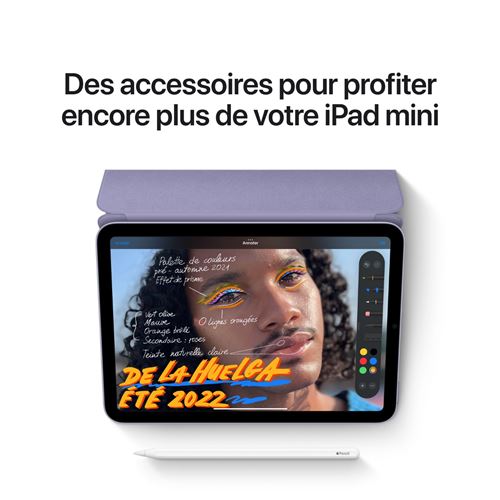 Apple-iPad-Mini-8-3-64-Go-Gris