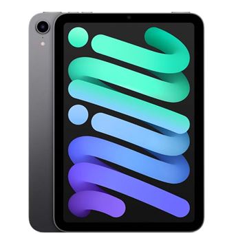 Apple - iPad mini (2021) - 8,3" WiFi - 64 Go - Gris Sidéral