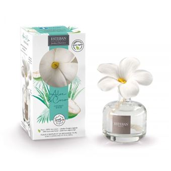 Fleur à parfum et sa recharge Esteban Aloé et Coco 75 ml