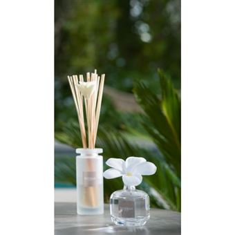 Fleur à parfum et sa recharge Esteban Aloé et Coco 75 ml