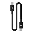 Câble Beats USB-C vers USB-C 20 cm Noir pour iPhone