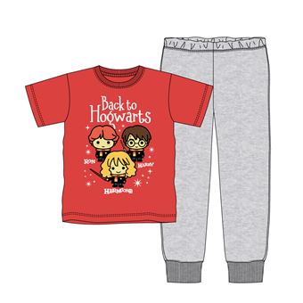 Pyjama Harry Potter pour enfant 6 ans Rouge et Gris