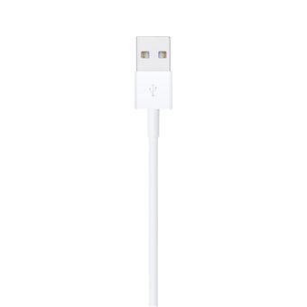 Câble Lightning USB Reborn 1m Blanc Reconditionné