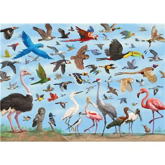 Puzzle LetterBox Peter Pauper Des oiseaux partout 1000 pièces 50 x 70 cm