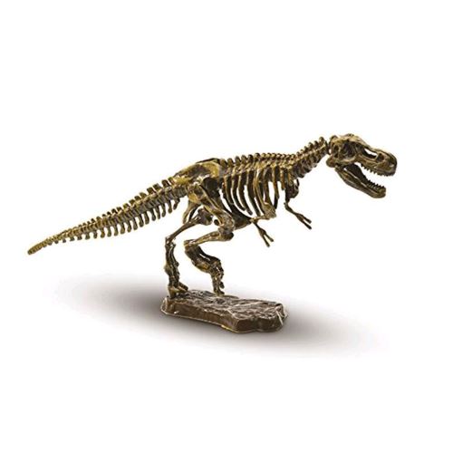 SES Creative Excavation d'un squelette de T-rex 20 x 20 cm Explorez