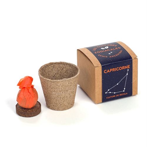 Coffret cadeau Biom Les cultures zodiacales à faire pousser Capricorne