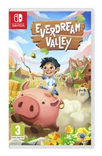 Everdream Valley Nintendo Switch