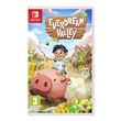 Everdream Valley Nintendo Switch