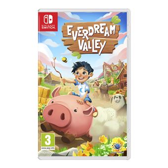 Everdream Valley Nintendo Switch