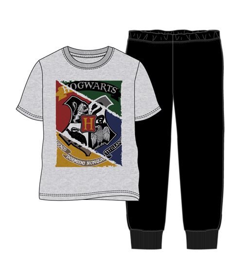 Pyjama Harry Potter pour homme Taille L Gris et Noir