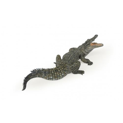 CROCODILE DU NIL