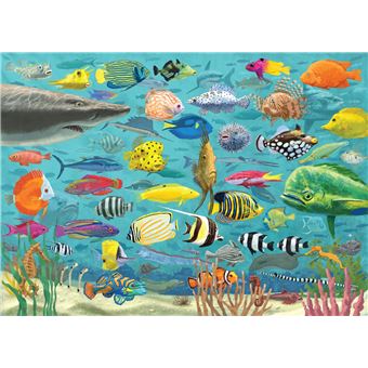 Puzzle LetterBox Peter Pauper Poisson 1000 pièces 50 x 70 cm