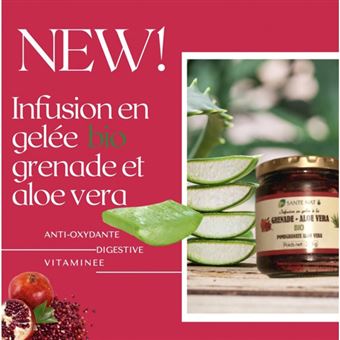 Infusion en gelée Grenade Aloé Bio 280 g