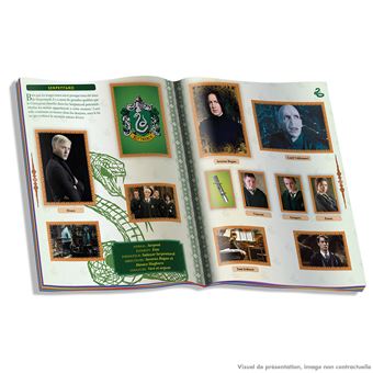 Album Panini Harry Potter Guide Des 4 Maisons