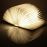 Lumière livre intelligente Gingko Grand Noyer_2