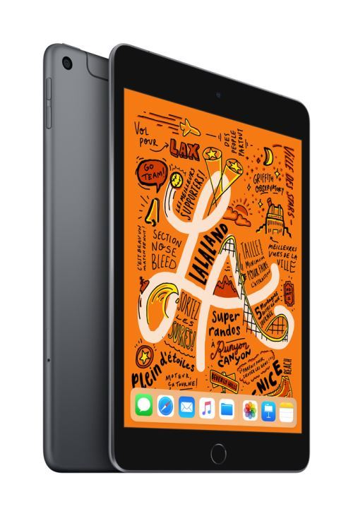 iPad Mini 256 Go WiFi + 4G Gris sidéral 7.9 2019 5 ème génération