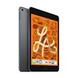 iPad Mini 256 Go WiFi + 4G Gris sidéral 7.9" 5 ème génération Début 2019