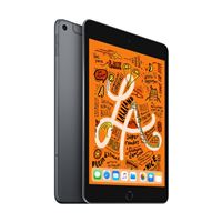 Apple iPad Mini 256 GB WiFi + 4G Grijs Sideraal 7.9"