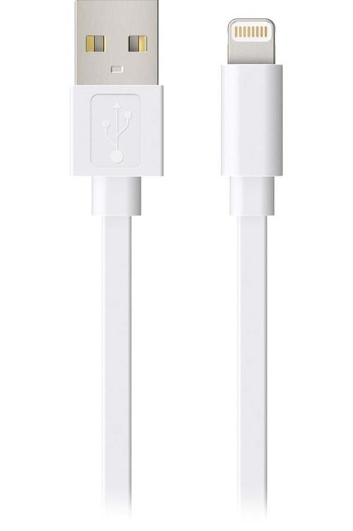 TEMIUM CABLE LIGHTNING FLAT 1,2M