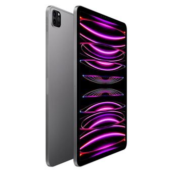 Apple iPad Pro 2. Gen A1670 12,9" 256GB WiFi (Gebraucht) in Zürich für