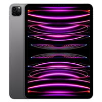 Apple iPad Pro 11" Puce Apple M2 256 Go Gris Sidéral Wi-Fi 4ème génération Fin 2022 Reconditionné