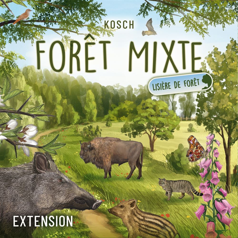 Asmodee Forêt Mixte – Jeu De Cartes Nature, Créez Un Écosystème, 2 à 5 Joueurs Dès 10 Ans, 60 Min