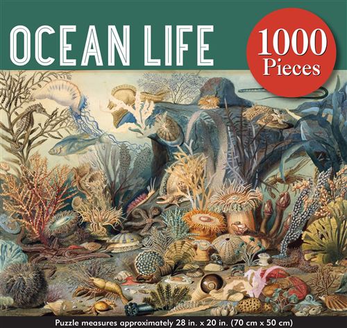 Acheter Puzzle LetterBox Peter Pauper Océan 1000 pièces 50 x 70 cm État correct - 97,99 € Puzzle LetterBox Peter Pauper Océan 1000 pièces 50 x 70 cm État correct - N/A reconditionné disponible sur Fnac