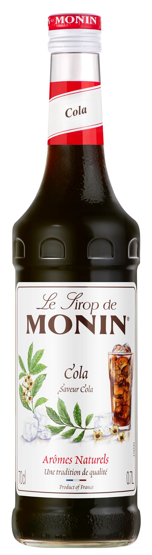 Sirop Monin Saveur Cola Marron