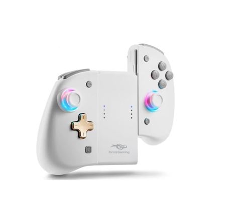 Manette Joycon RGB Power Ibroz pour Nintendo Switch et Nintendo Switch OLED Blanc