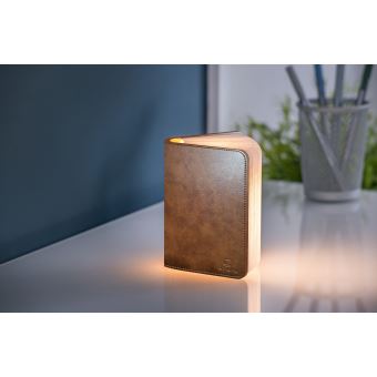 Gingko Mini Livre Lumineux LED Smart - Tissu Rose