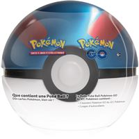 50% sur Carte à collectionner Pokémon Carte Promo Go 1 Bonus de commande ne  peut être vendu séparément - Carte à collectionner - Achat & prix