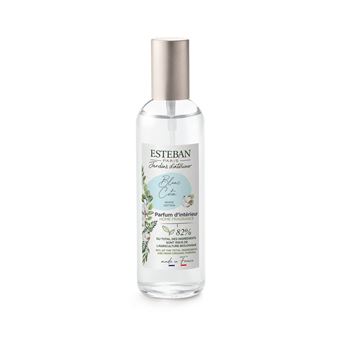 Parfum d'intérieur Esteban Blanc Coton 100 ml