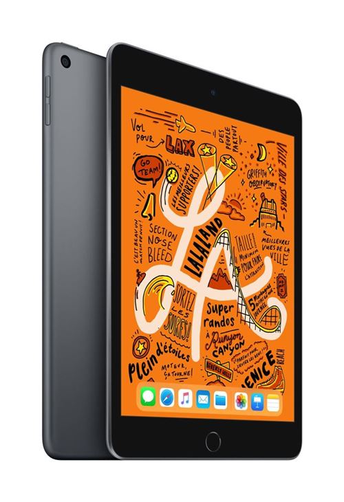iPad mini 5eme génération 2019 64Go Gris Sidéral Reconditionné par Renewed Grade A
