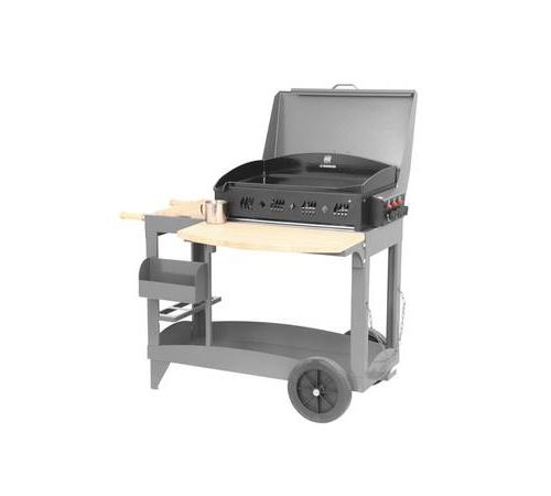 Plancha professionnelle Le Marquier Reina BAP3305C27