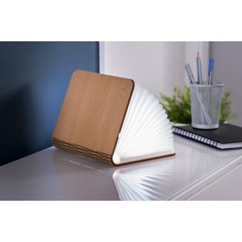 Lumière livre intelligente Gingko Mini Erable