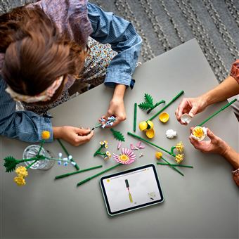 LEGO® Botanicals 10347 Petit bouquet ensoleillé