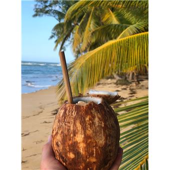 Pailles en Bambou Lund London 4 Mixte Beige